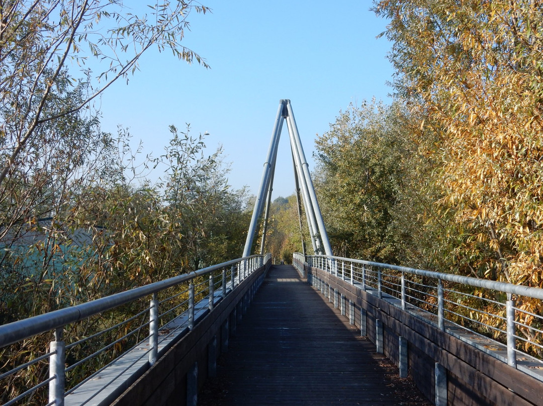 Parco Agronaturale della Dora Riparia景点图片