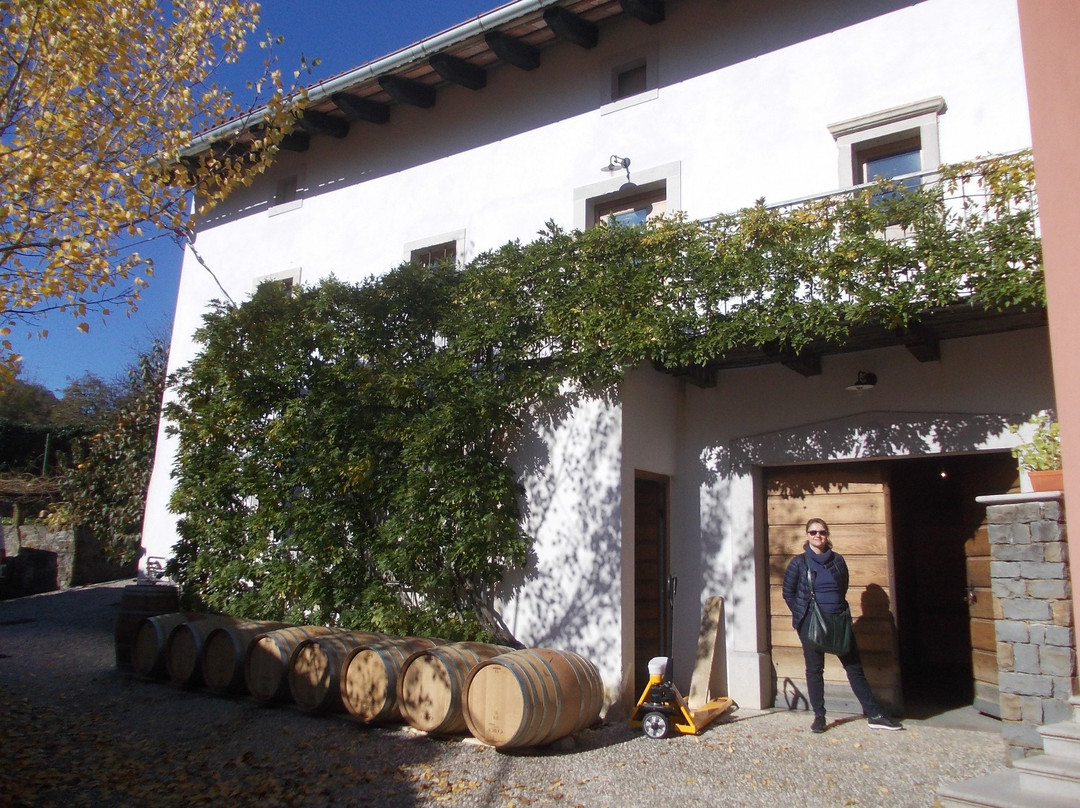 Sutor Wine Farm-Vipava必去景点