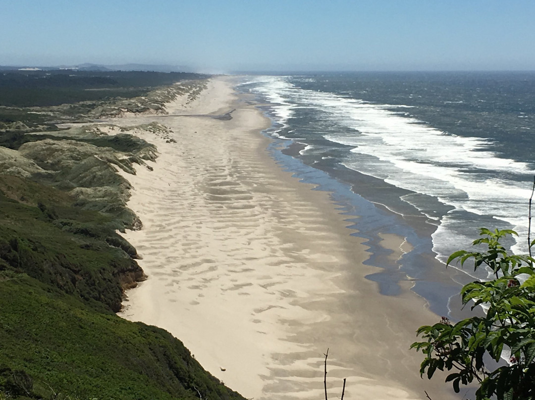 Siuslaw National Forest-科瓦利斯必去景点