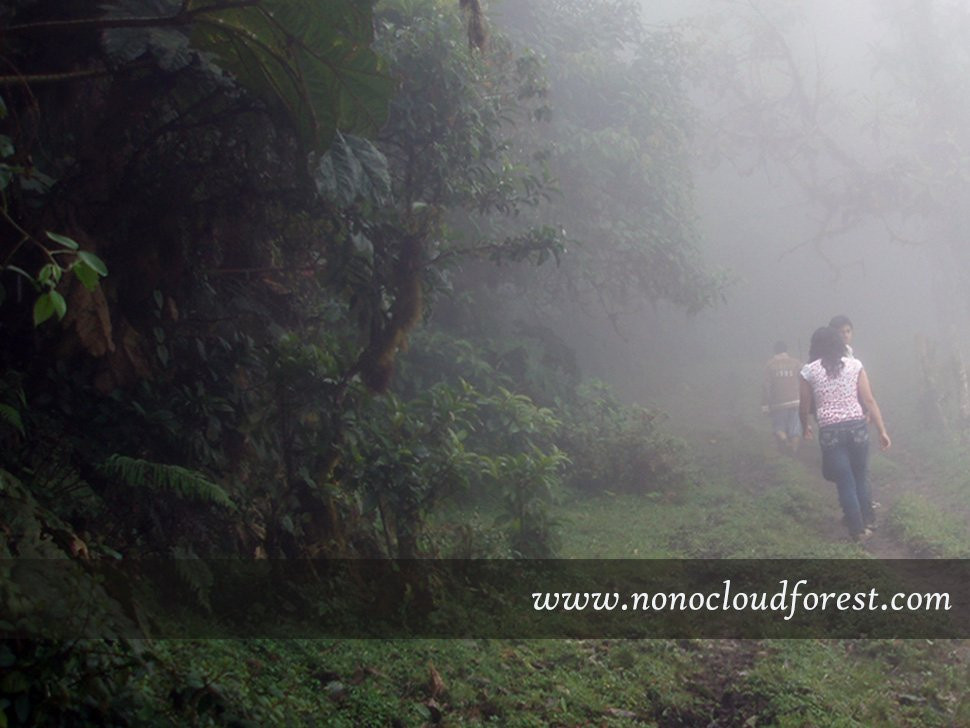 Nono Cloud Forest Day Tours-Nono必去景点