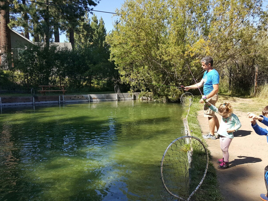 Tahoe Trout Farm-南太浩湖必去景点