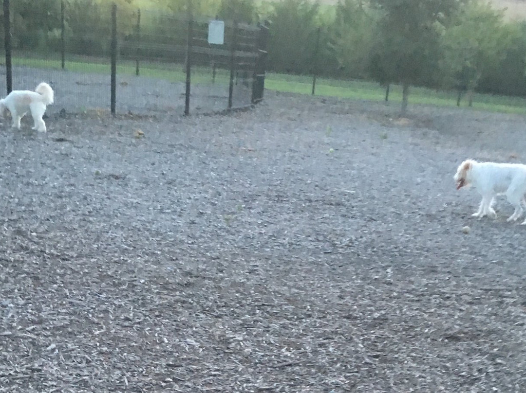 Dog Park at Bonnie Wenk-麦金尼必去景点