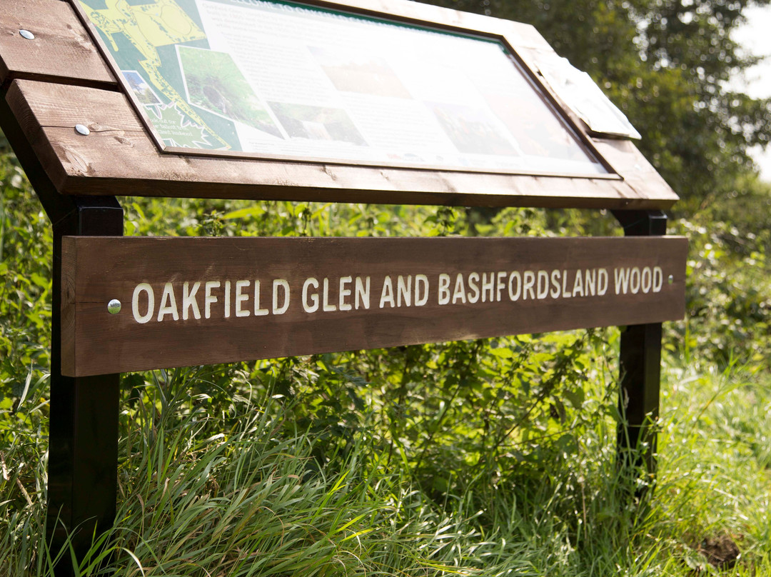 Bashfordsland Wood and Oakfield Glen景点图片