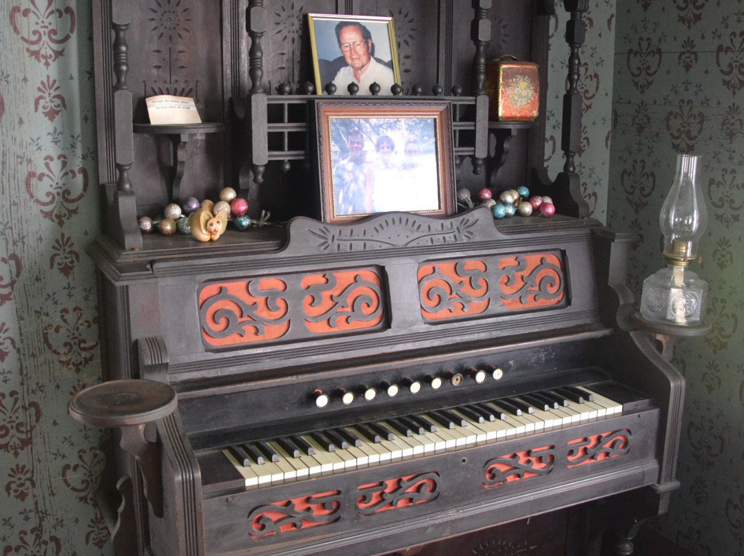 Edwin Wolters Memorial Museum景点图片