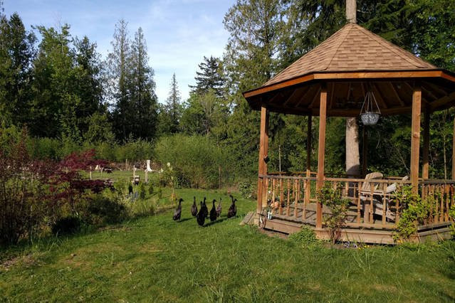 Malibu酒店住宿-Family Farm B&B