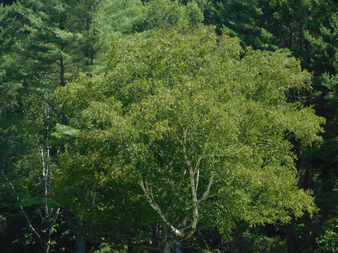 Woodstock Country Club-伍德斯托克必去景点