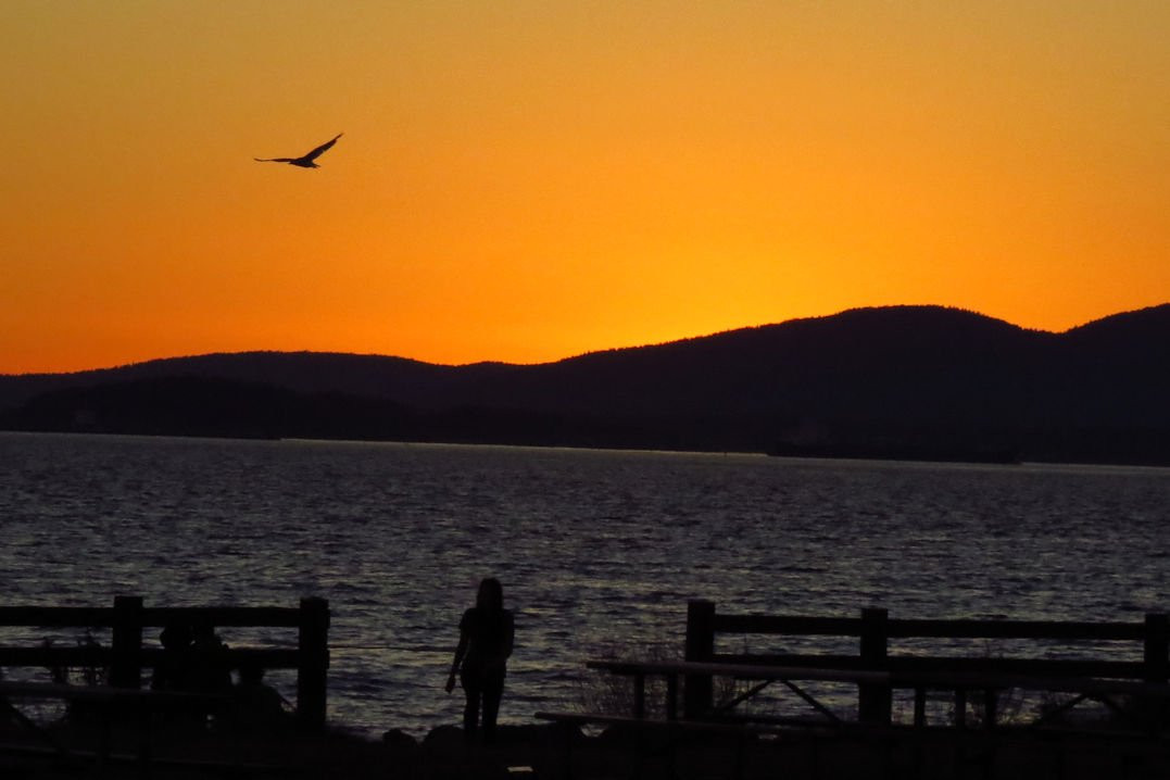 Bay View State Park景点图片