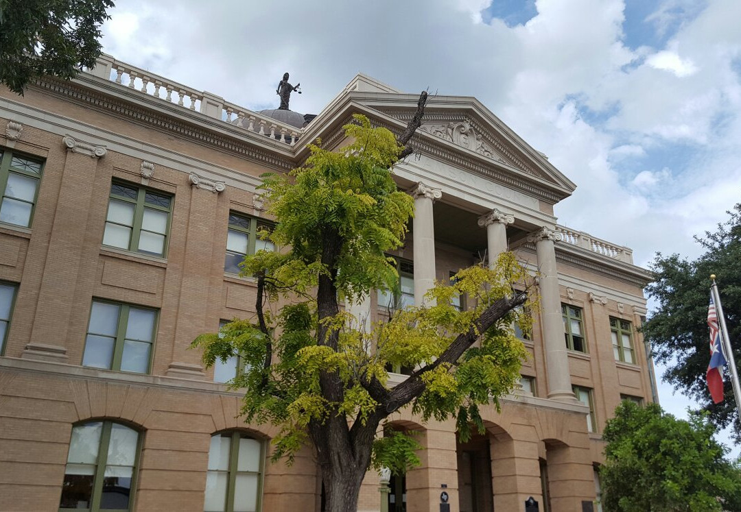 The Williamson Museum景点图片