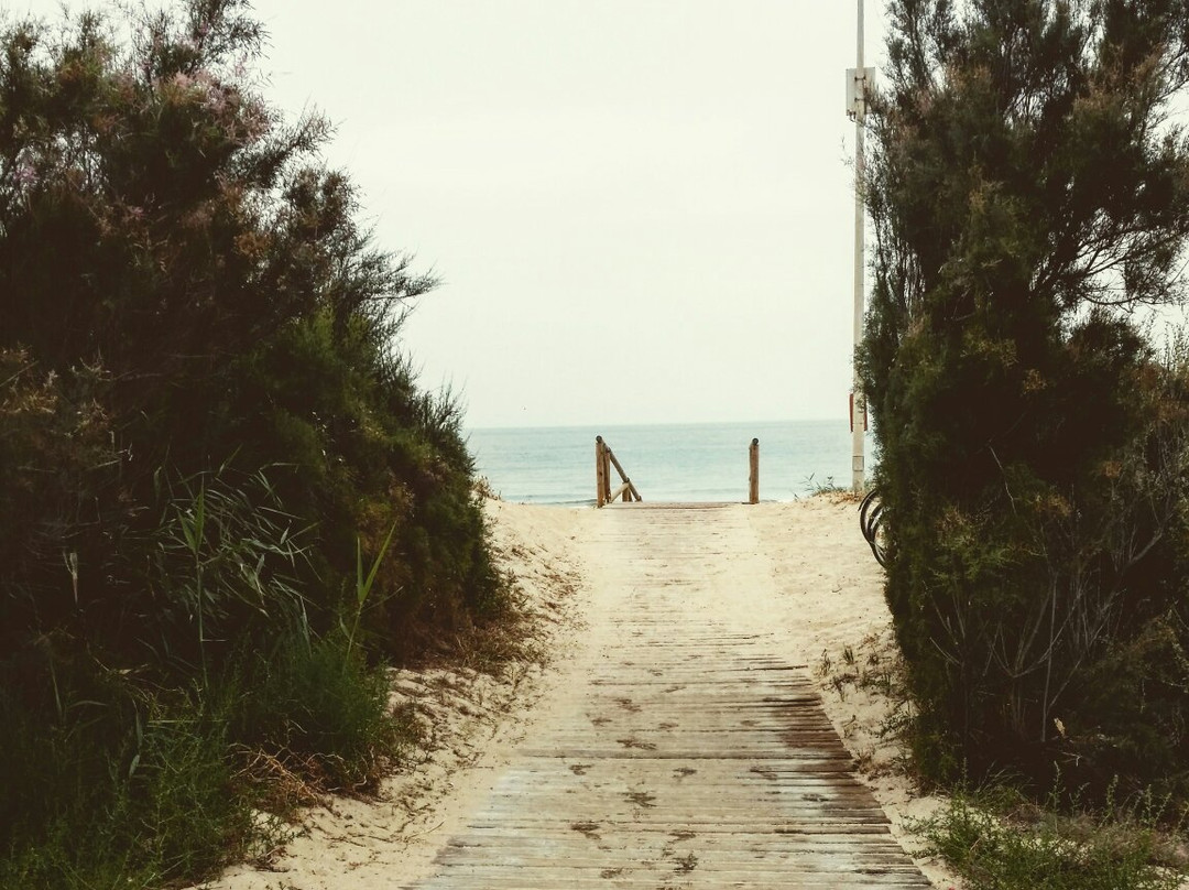 Playa De Costa Ballena景点图片