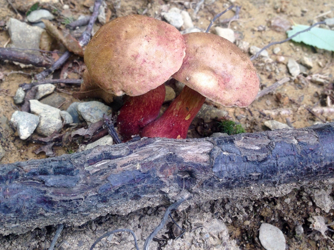 Fishkill Ridge-Beacon必去景点