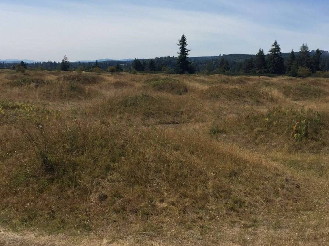 Mima Mounds Natural Area Preserve-奥林匹亚必去景点