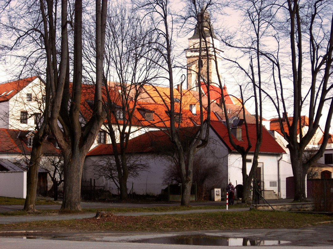 Renaissance Townhouses at Slavonice-Slavonice必去景点