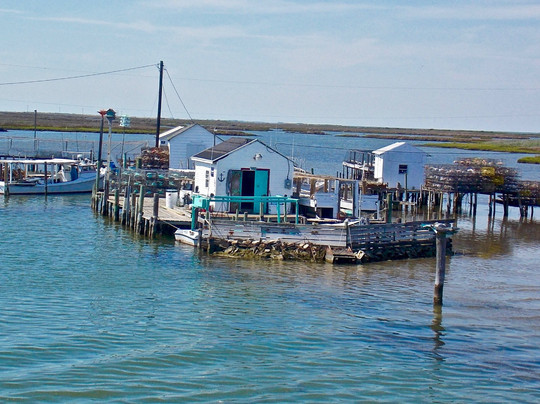 Tangier Island旅游攻略图片