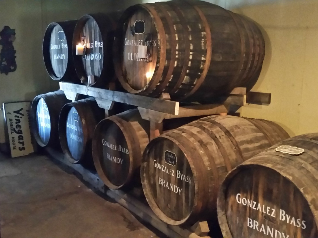 Black Prince Winery & Canadian Cellars offering Wood-Fired Pizza & Disc Golf景点图片