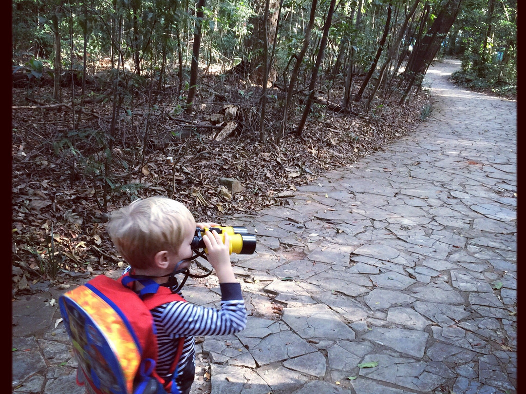 Bosque dos Italianos-坎皮纳斯必去景点