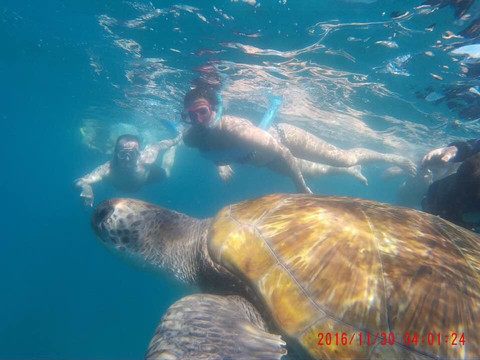 Mas de Treinta Tenerife