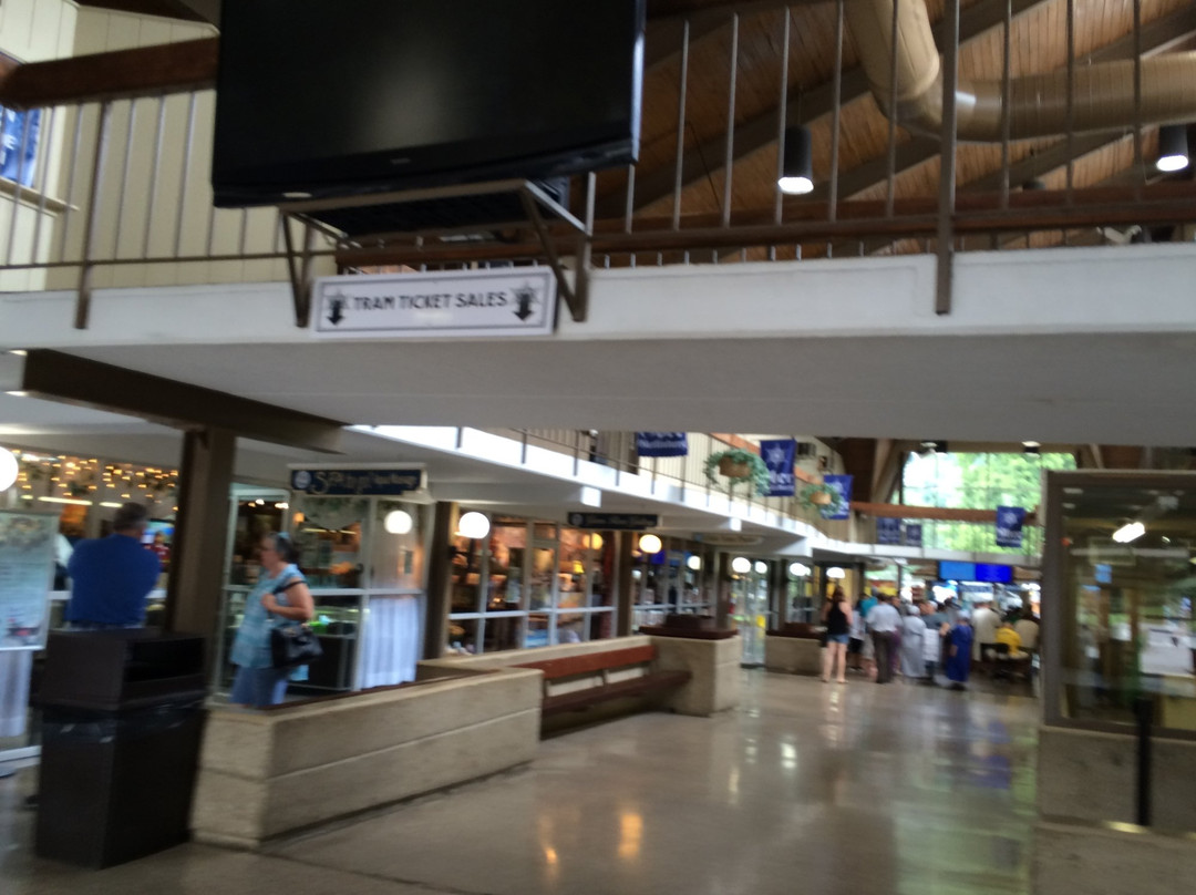 Tramway Mall-盖林柏格必去景点