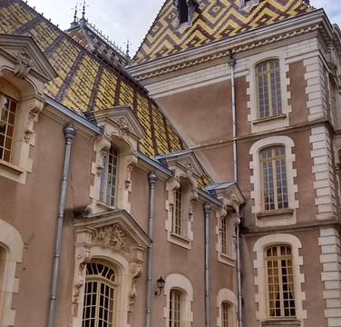 Safari Tours-博讷必去景点