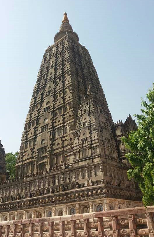 Rajayatna Tree-加雅岛必去景点