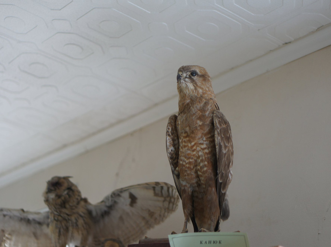 Nature Park Eltonskiy-Elton必去景点