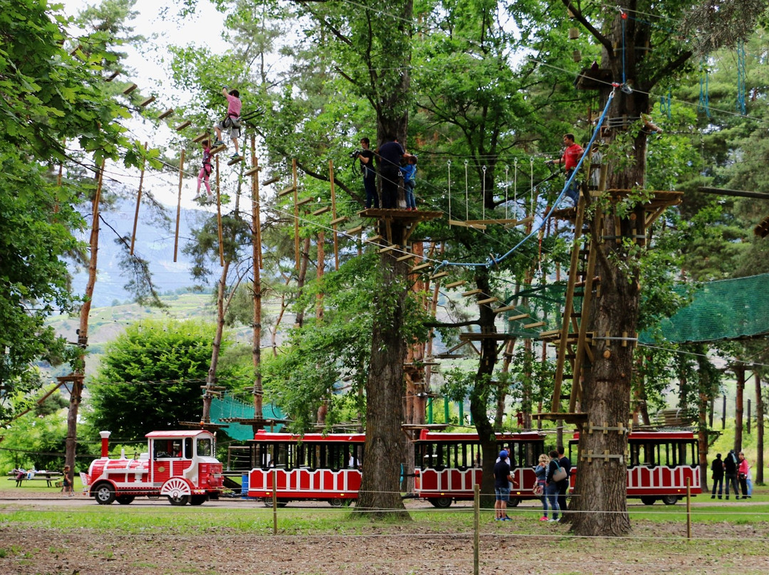 Parc Aventure: Sion景点图片