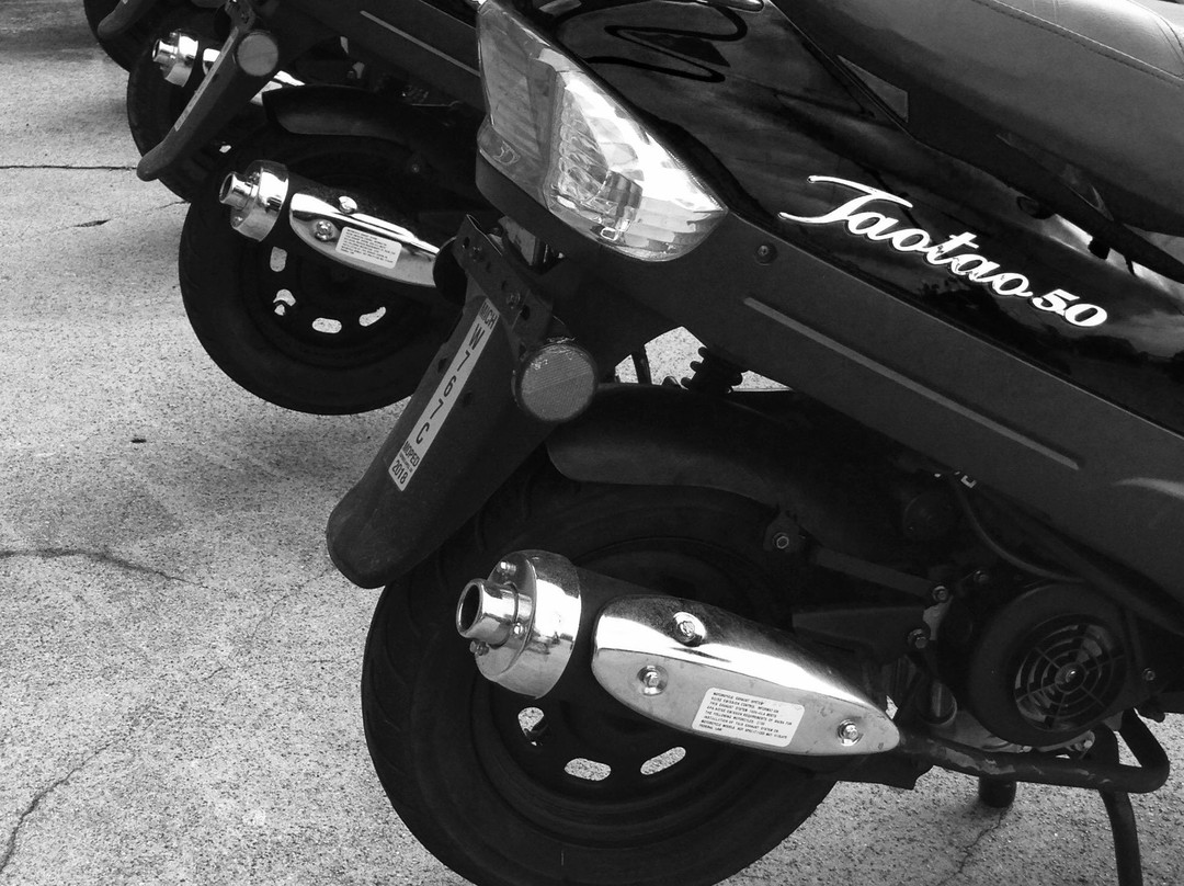 South Haven Scooter Rental,LLC.-南黑文必去景点