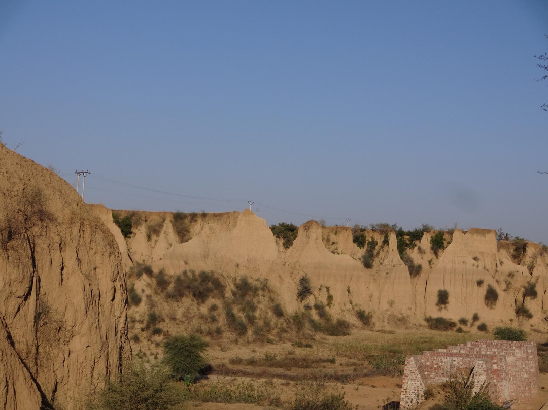 Keladevi Wildlife Sanctuary-Karauli必去景点