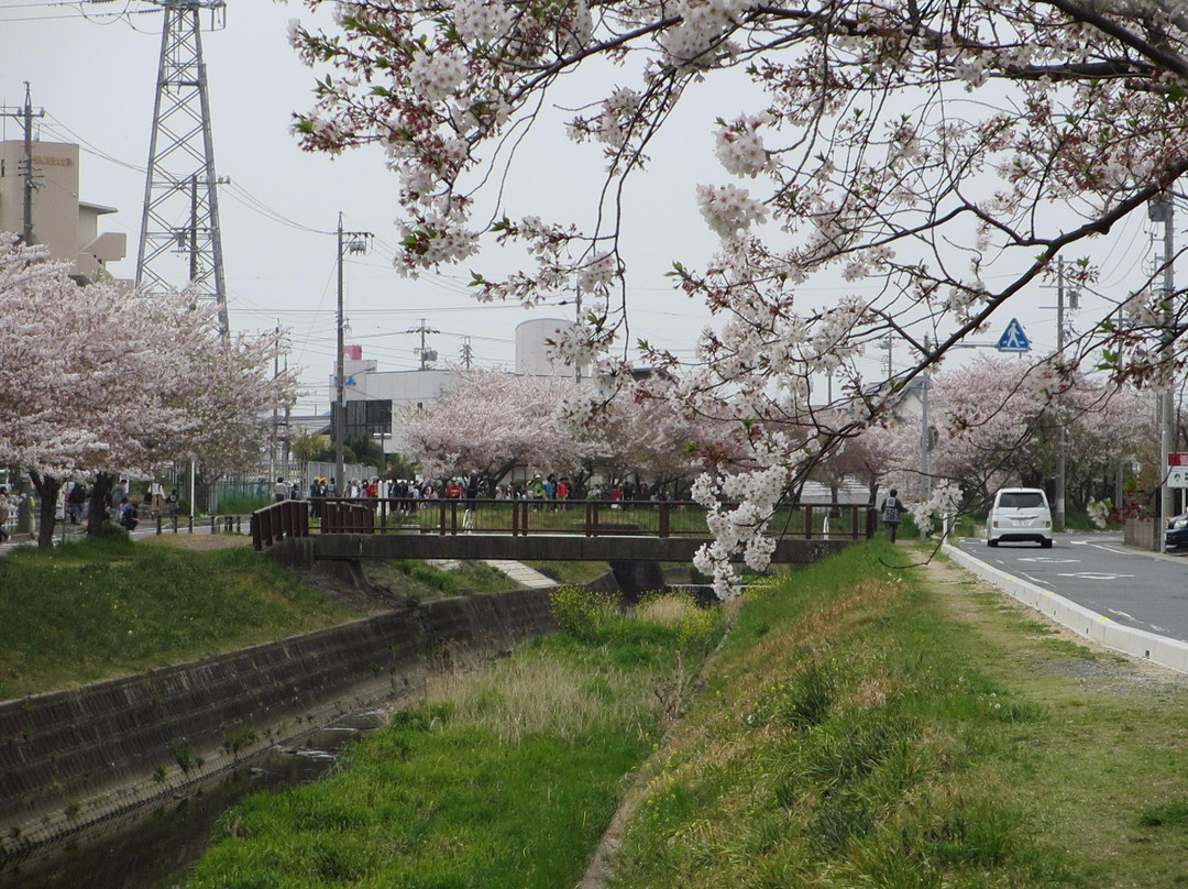 Ishikawa River景点图片