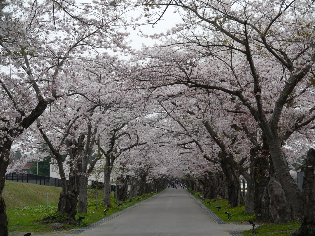 Ruins of Matsumae Clan Hekirichi Jinya-北斗市必去景点
