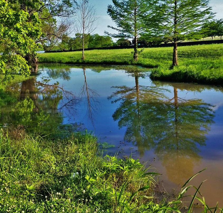 Old Settlers Park景点图片