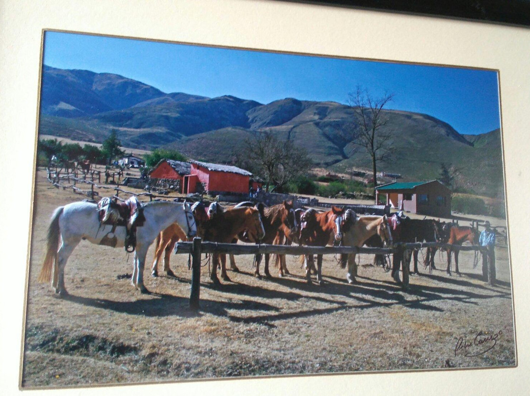 Hosteria Lunahuana主图