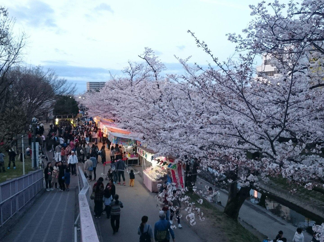 Onaka Park景点图片