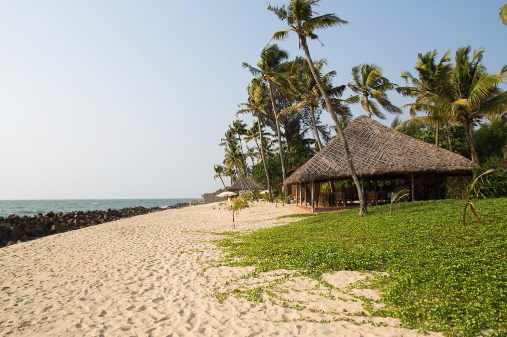 Erandia Marari Ayurveda Beach Resort-餐饮