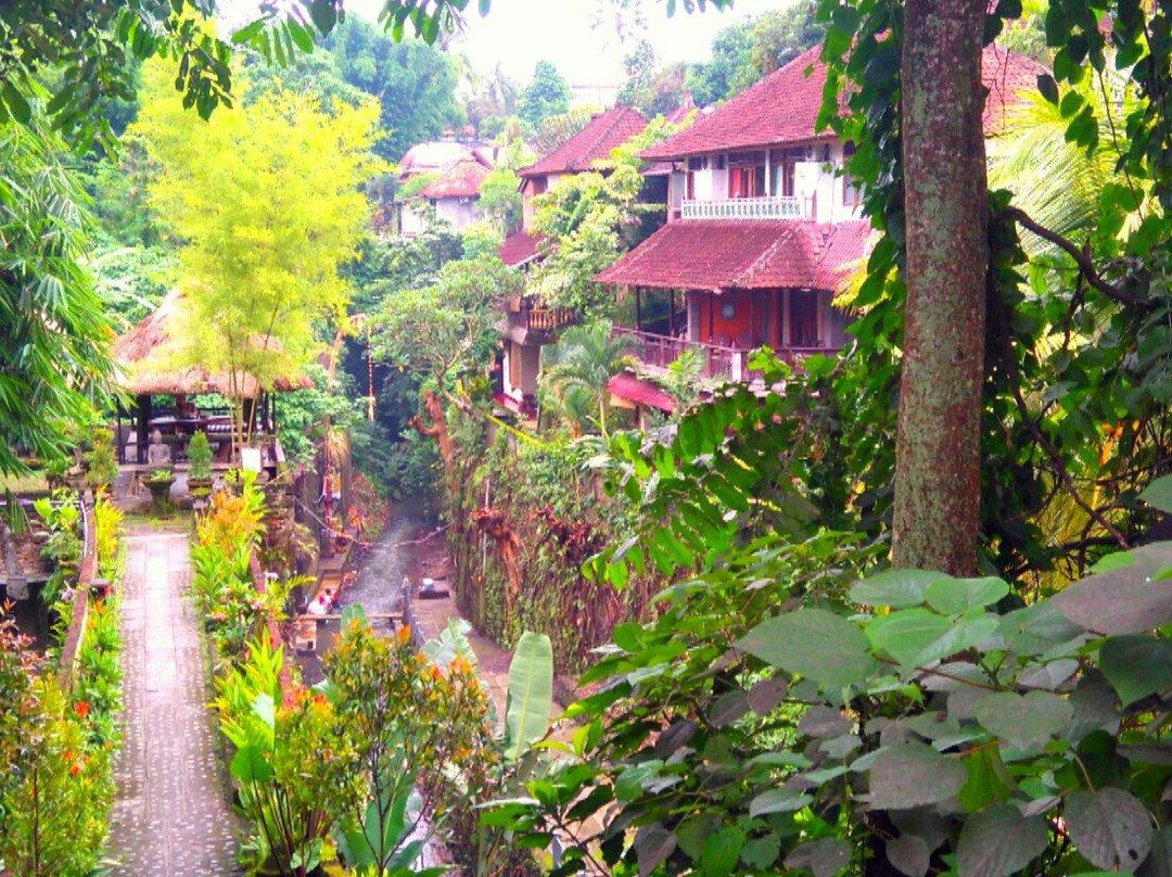 Authentic Windyman Walking Tours景点图片