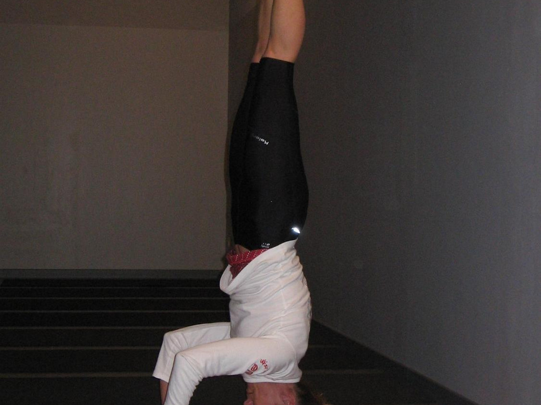 YOGA&Wellness景点图片