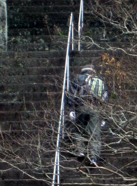 Suga Shrine-小城市必去景点