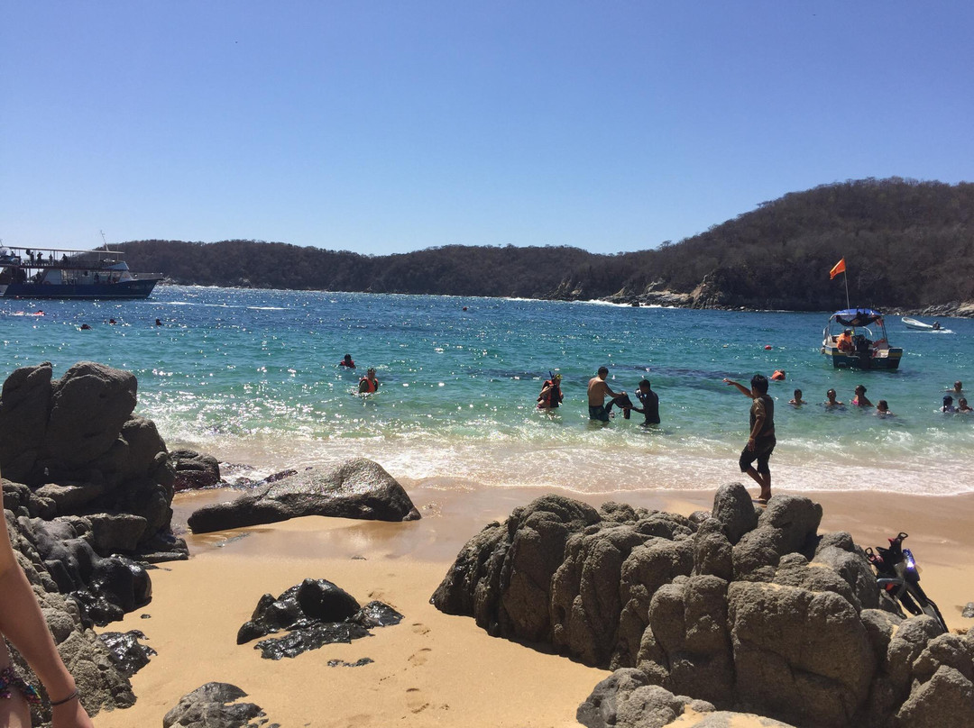 Playa Organo-瓦图尔科必去景点