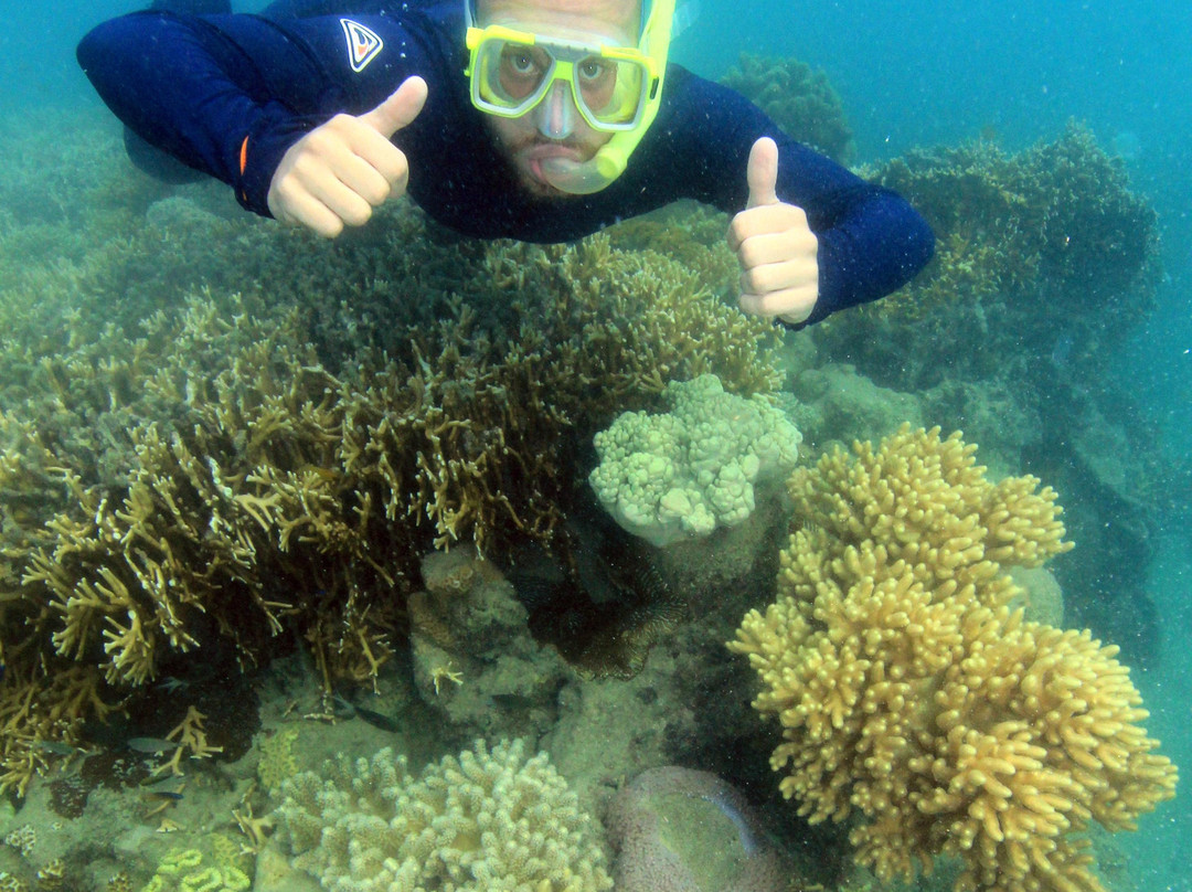 Reefstar Cruises-艾尔利滩必去景点