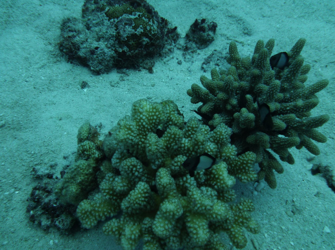 S2CLUB SAIPAN - Day Tours-塞班岛必去景点