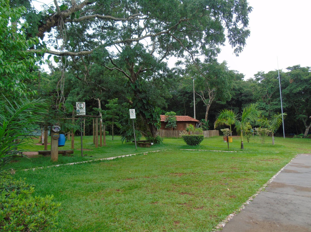 Parque Municipal Victório Siquierolli-乌贝兰迪亚必去景点