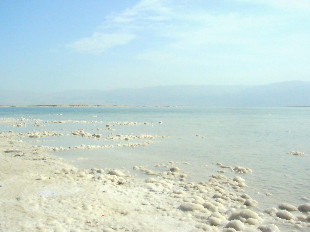 Dead Sea Rooms主图