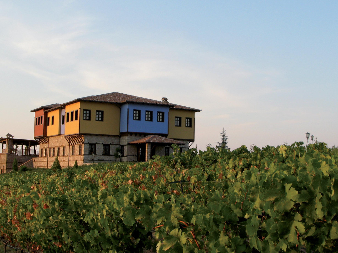 Vergina酒店住宿-Estate Kalaitzis