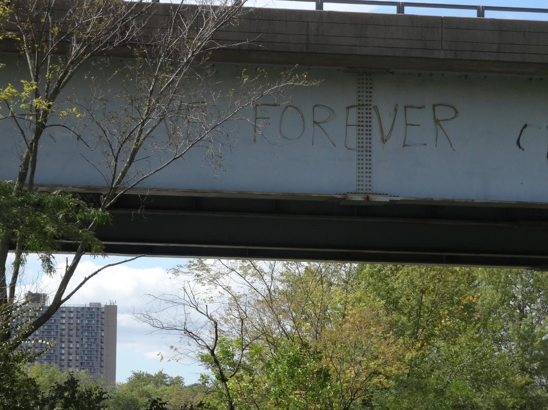 Johnson Park-皮斯卡特维必去景点