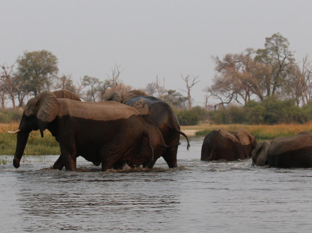 Nkasa Rupara National Park-Nkasa Rupala National Park必去景点