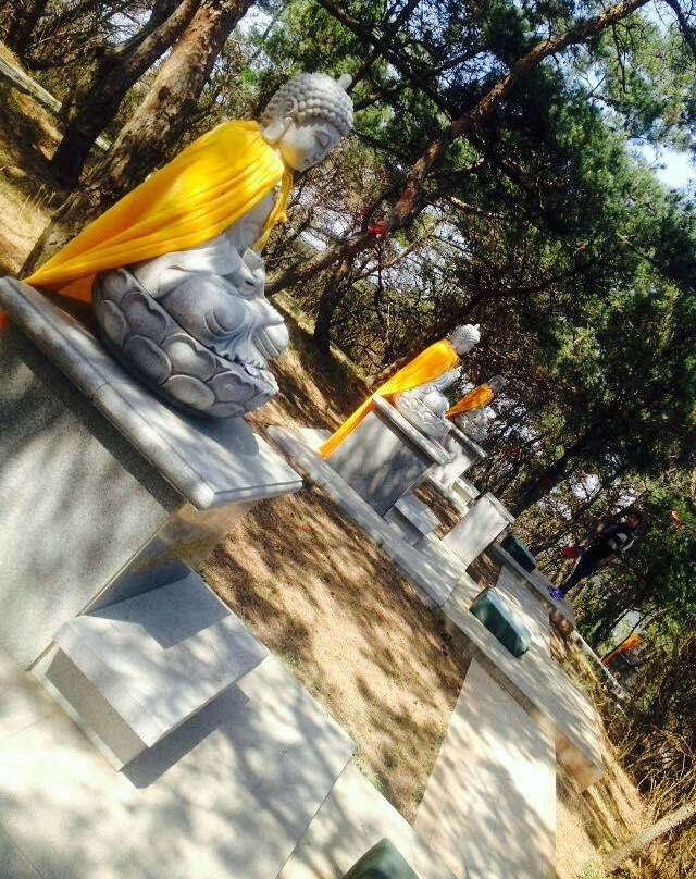 金龙寺森林公园-大连市必去景点