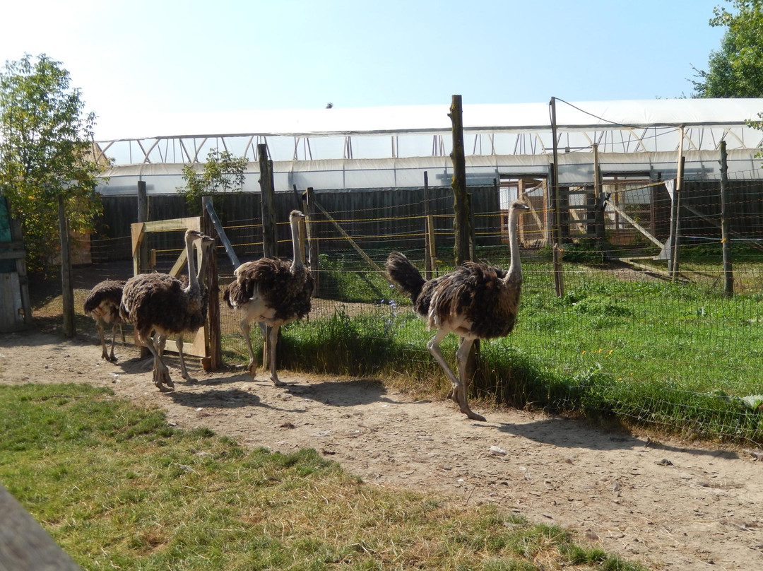 Nid'Otruche-Saint-Eustache必去景点