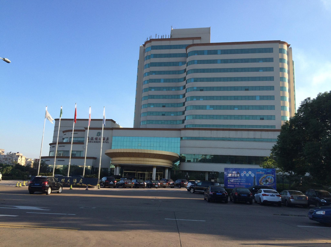 老板娘新光大酒店主图