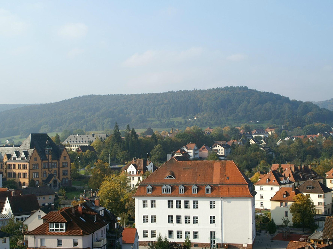 Bayersturm景点图片