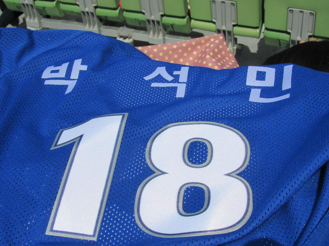 Daegu Baseball Stadium-大邱必去景点