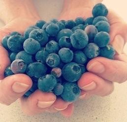 Tippytop Bed & Breakfast主图